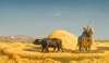 The Grain Threshers, Egypt
