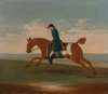 One of Four Portraits of Horses, a Chestnut Racehorse Exercised by a Trainer in a Blue Coat- gallop…