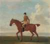 One of Four Portraits of Horses, a Chestnut Racehorse with Jockey Up- walking to the left; jockey i…