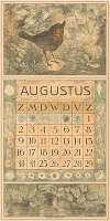 Kalenderblad augustus met roodborstje