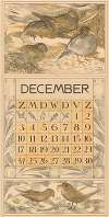 Kalenderblad december met etende vogels