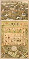 Kalenderblad juni met broedende meeuwen