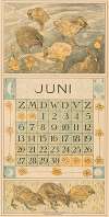 Kalenderblad juni met kuikens