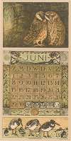 Kalenderblad juni met uilen en scholeksters