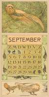 Kalenderblad september met goudfazant