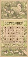 Kalenderblad september met Muskuseend
