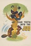 Get your teeth into the job