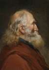 Study of head of a bearded man