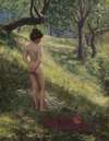 Nude in a glade