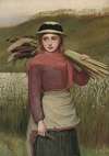 The reed cutter 1881