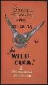 The Wild Duck