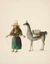 Indian Woman and Llama