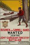 Bushmen and Sawmill Hands Wanted – Join the 224th Canadian Forestry Battalion