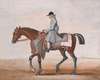 Lord Godolphin’s White Foot, a Very Famous Horse That Was Never Beat