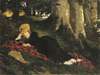 Woman Reading in a Forest