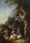 Two shepherd boys with dogs fighting