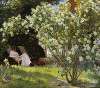 Roses. Marie Krøyer seated in the deckchair in the garden by Mrs Bendsen’s house