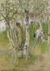 Ulf. Nude Boy among Birches