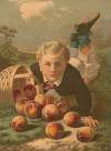 Young boy on the ground, after he has fallen, with a basket of spilled peaches
