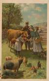 Man, woman, and little girl feeding a calf at the farm