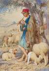 Keeping Sheep, Bethlehem