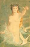 Woman with seagull