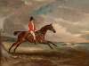 Valentine Maher at the Gallop