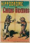 Hippodrome Chiens Boxeurs