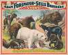 The Adam Forepaugh and Sells Brothers America’s greatest shows consolidated. A magnificent collection of the bears of the world….