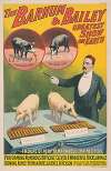 The Barnum & Bailey greatest show on earth–Troupe of very remarkable trained pigs