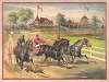 Three harness racers