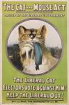 The cat and mouse act passed by the Liberal government… buy and read The Suffragette