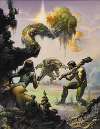 Through the Reality Warp Paperback Book Cover