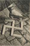 Espadrille écrasant une croix gammée affiche