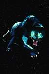 Space Panther
