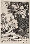 Saint Jerome