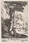 St. Francis