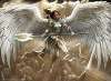 Anointer of Valor