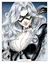 Black Cat.