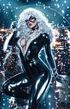 Black Cat