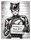 Catwoman Busted