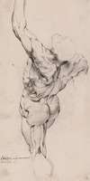 Anatomical Study (écorché). Standing flayed man seen from the back half turned to the left, his left arm raised_