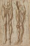Two Studies of a Flayed Man (recto)