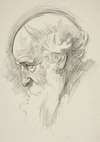 Portrait of an old bearded man, in profile