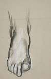 Sketch of a foot II