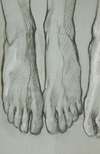 Sketch of three feet (recto); Sketch of one foot (verso)