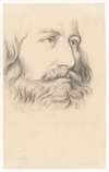 Study of a Male Head with Moustache and Beard