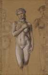 Female Nude – Three Studies, possibly for Venus