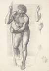 Male Nude – Study for St Christopher