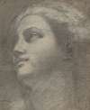Head of a Woman Looking to Upper Left